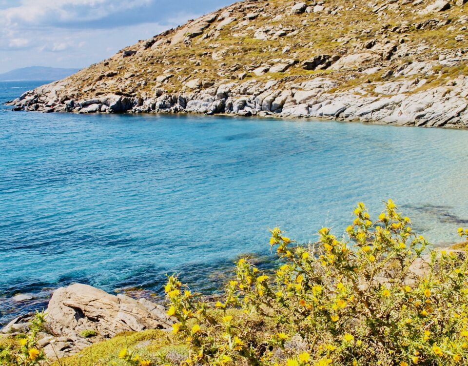 la mer, les immortelles, le surf, le soleil et notre hikoboard